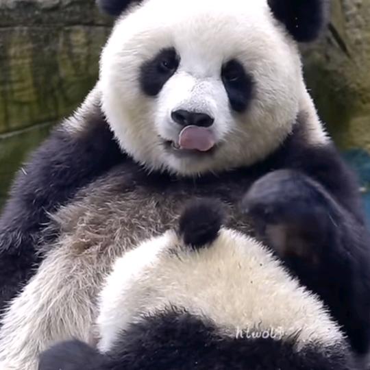 看破红尘，与世无争。