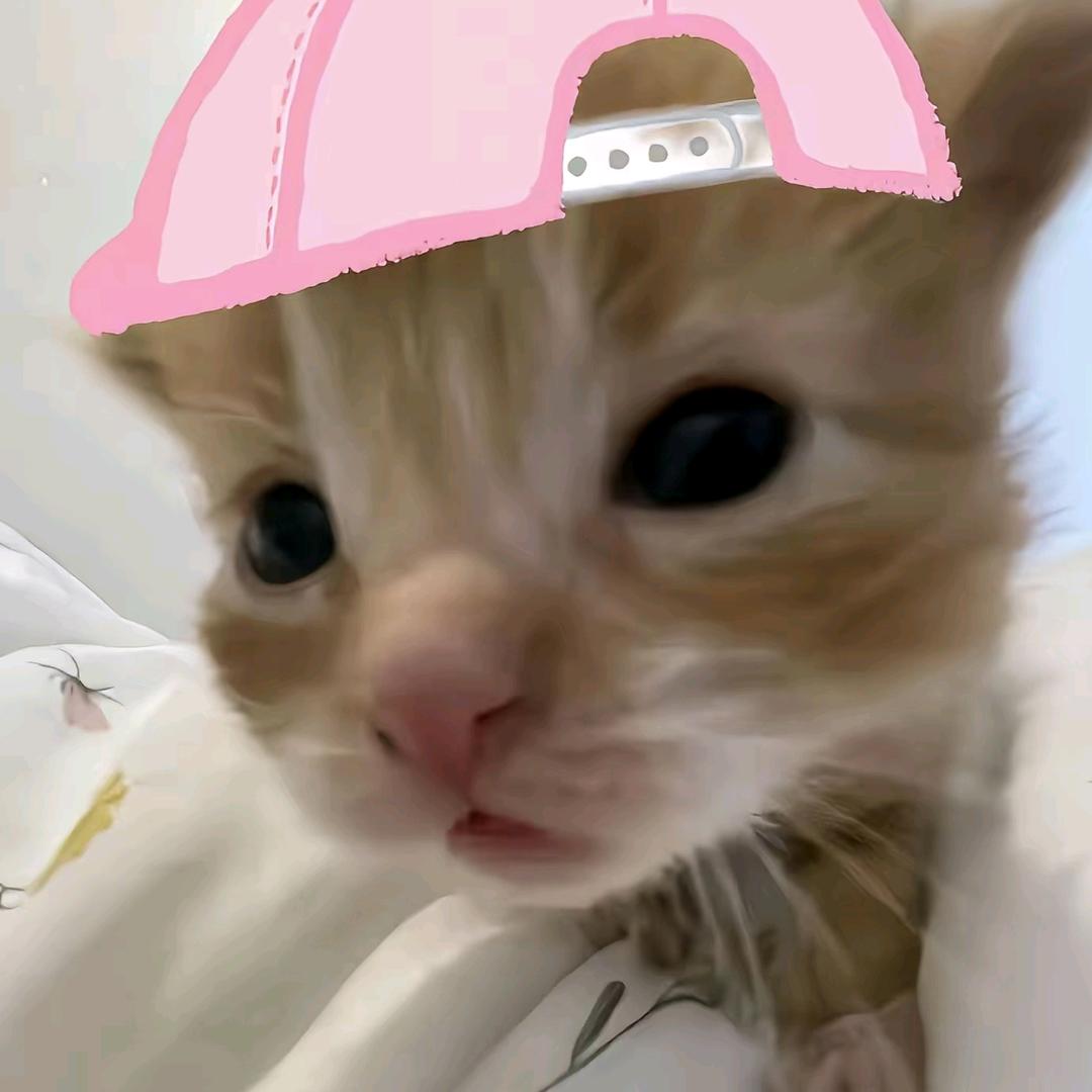 我真求你了。