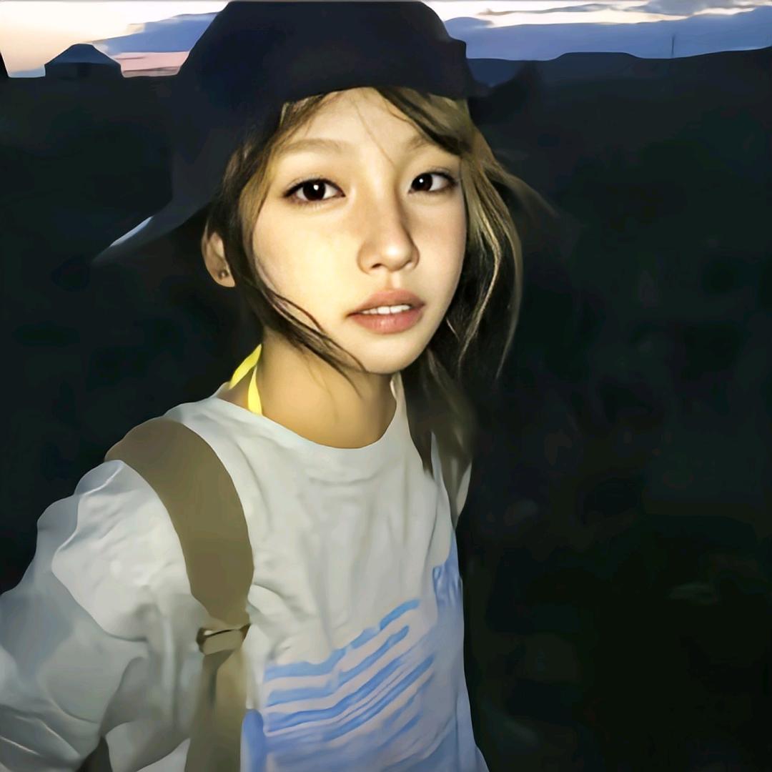 孤独的鸡块