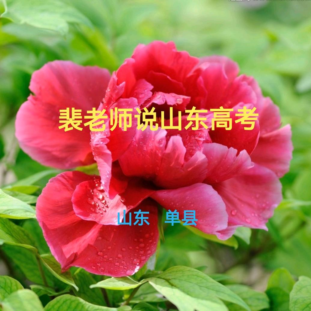 裴老师说山东高考