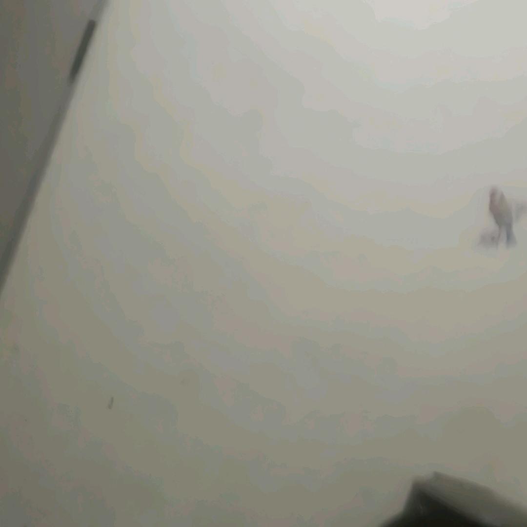 只看不刷。