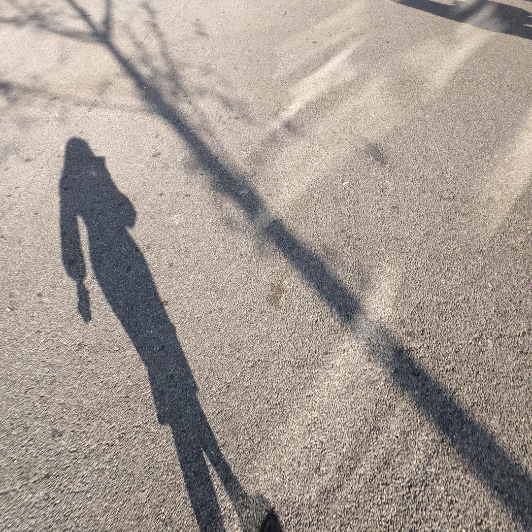 陪你春夏秋冬。