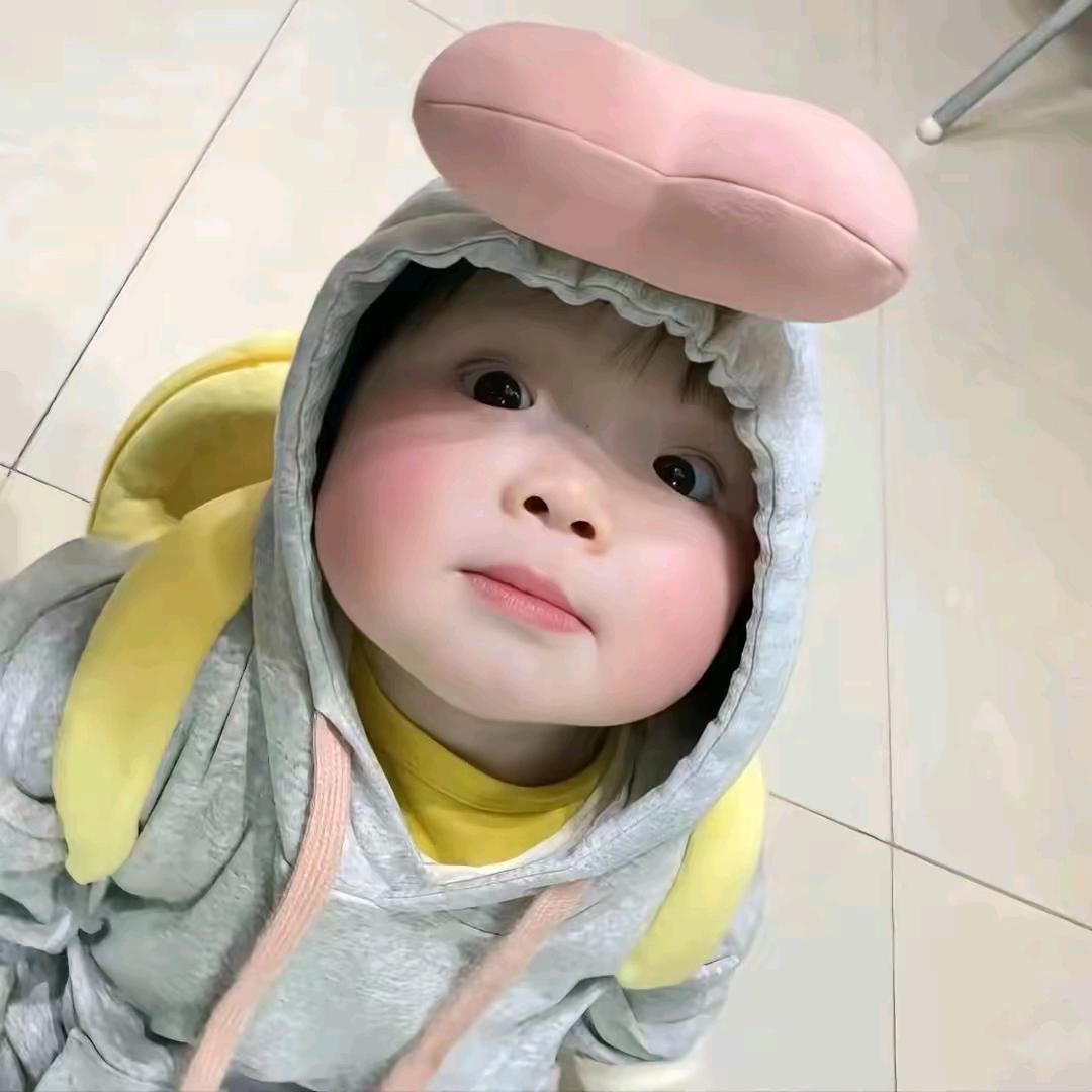 皇帝苗子