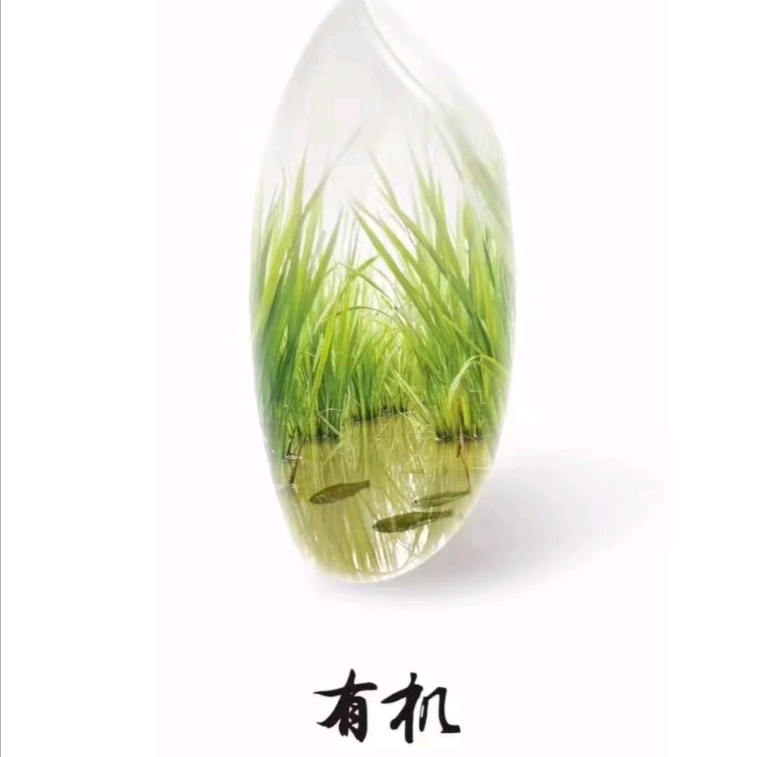 五常大米—成子