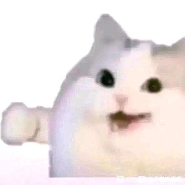 俊俊的丢嘉龟