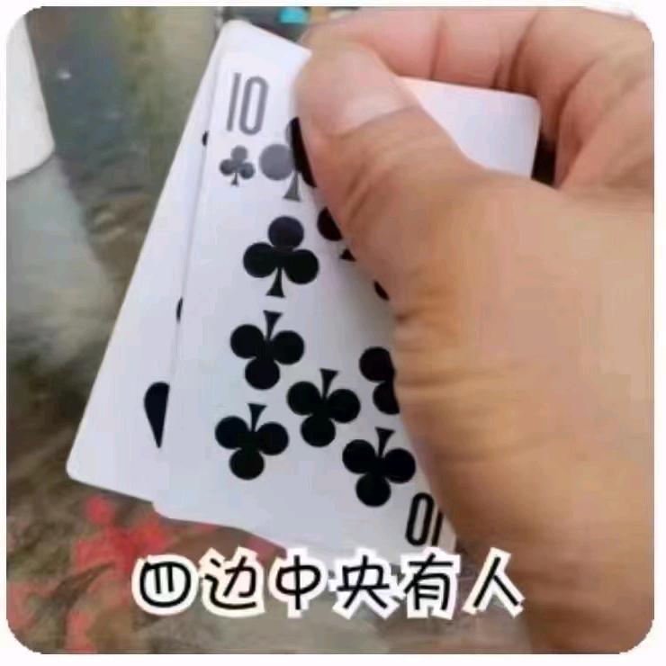 章鱼哥🐙