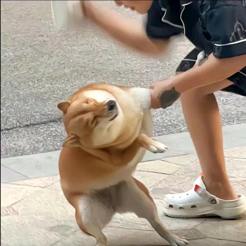 金刚狗蛋🥚