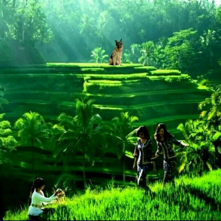 秋天