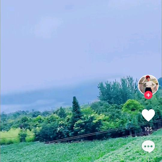 雪花飘飘