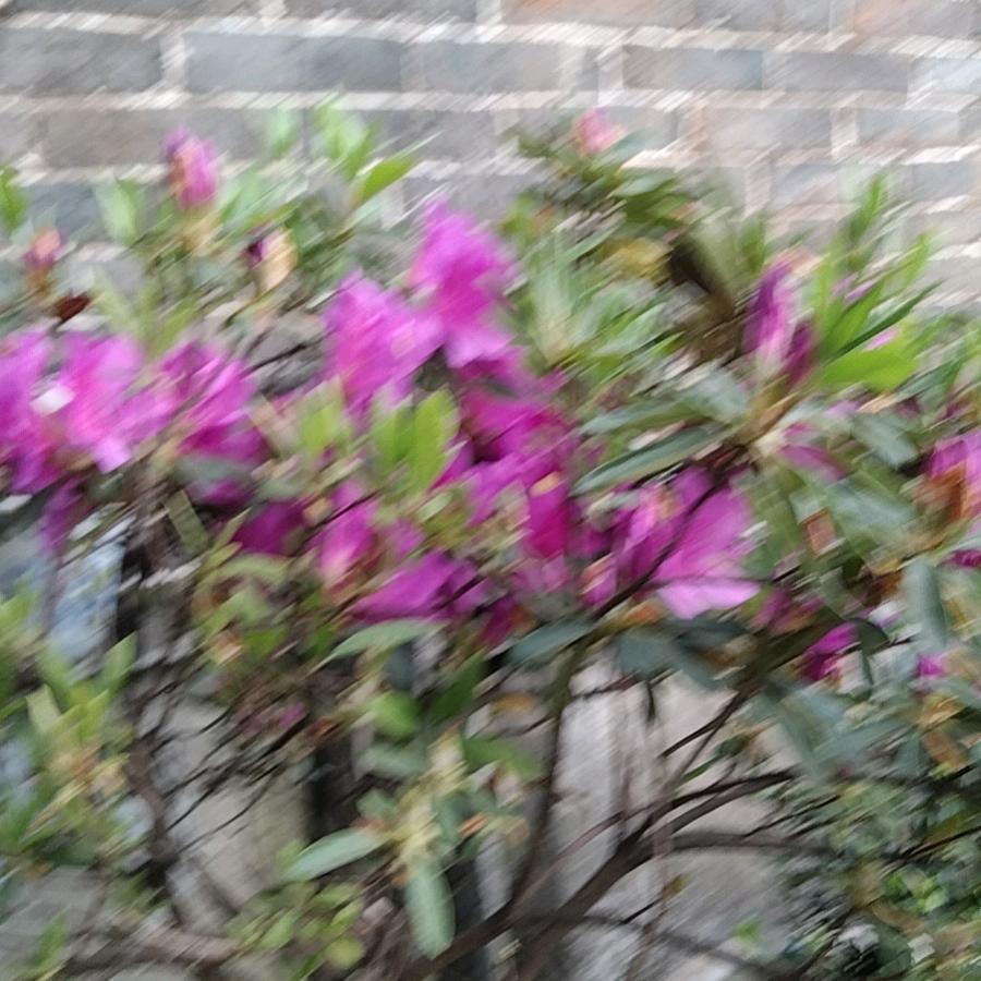 爱你无悔