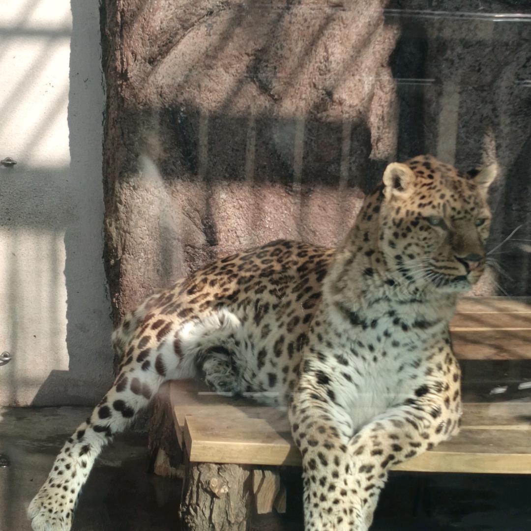 收获满满百货商行