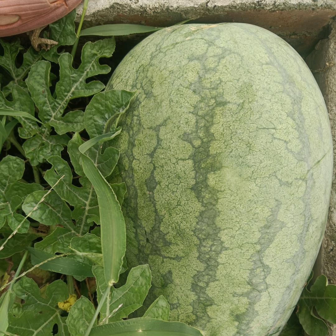 萍水相逢
