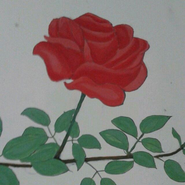 宝贝