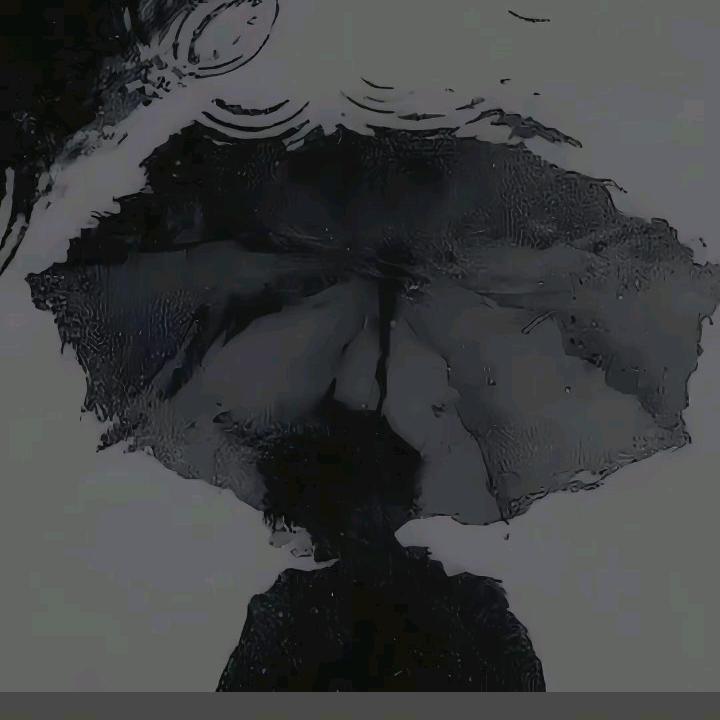 小雨看花海