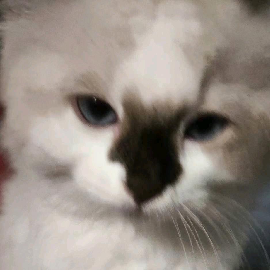 等等天黑