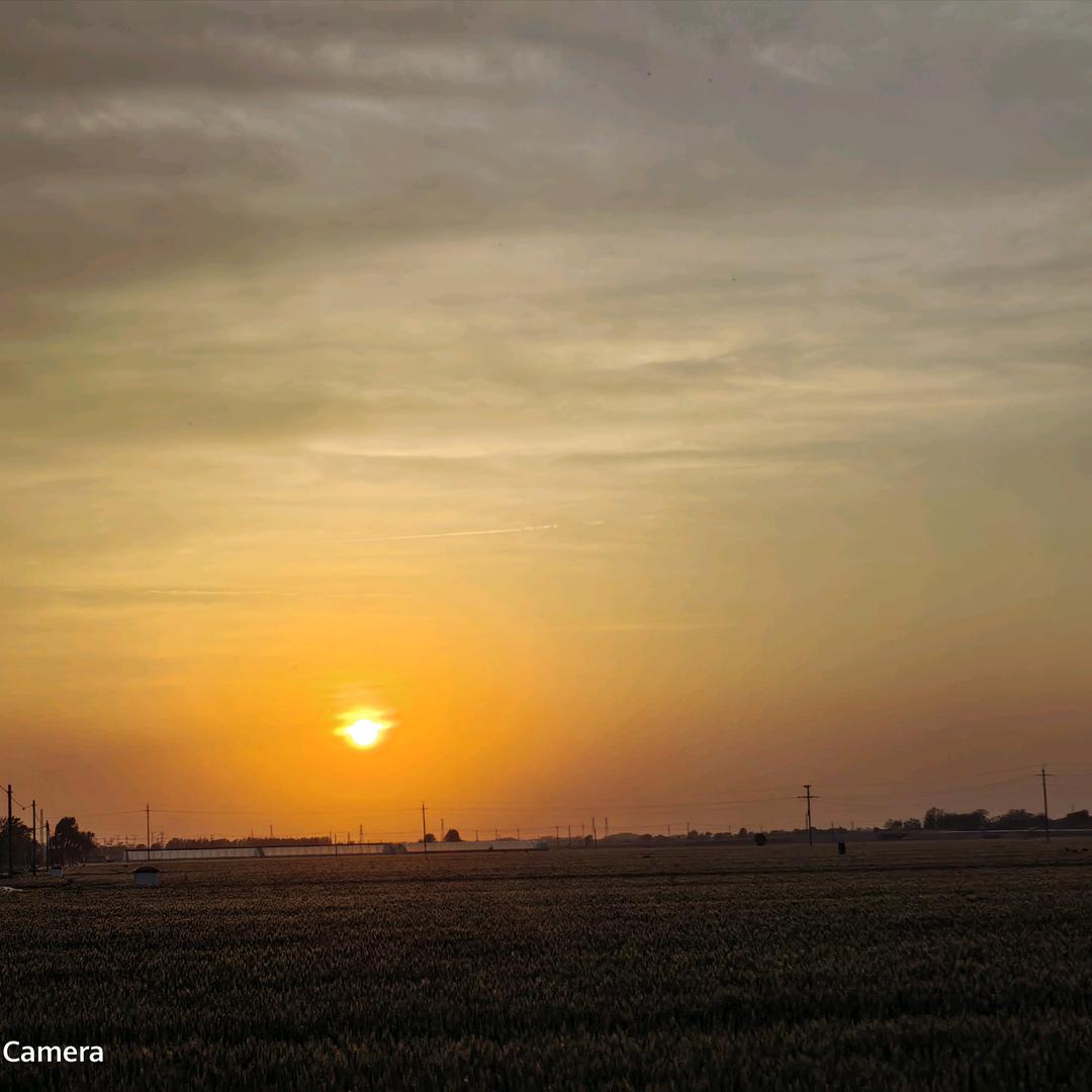 🙏福星高照🙏财运亨通🙏