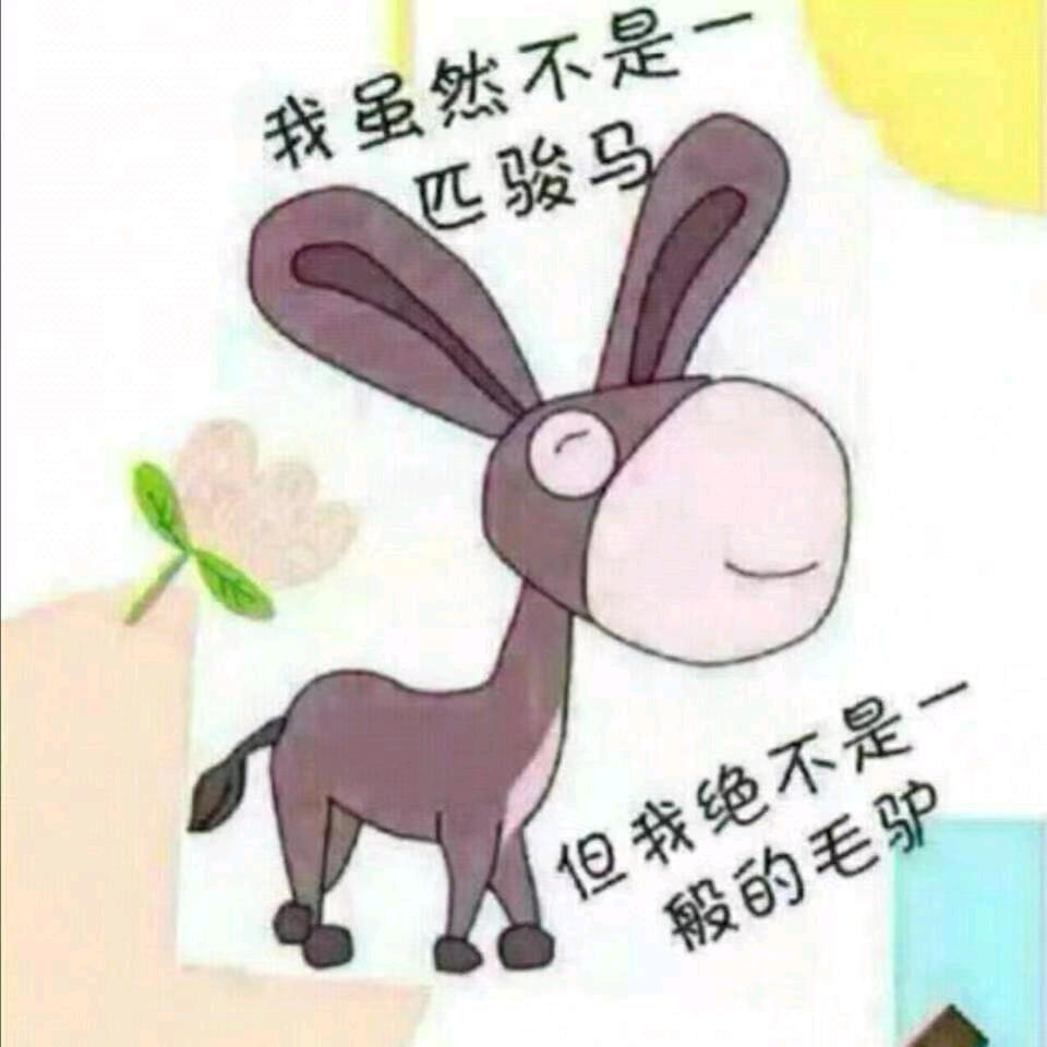 💞心若相惜💞