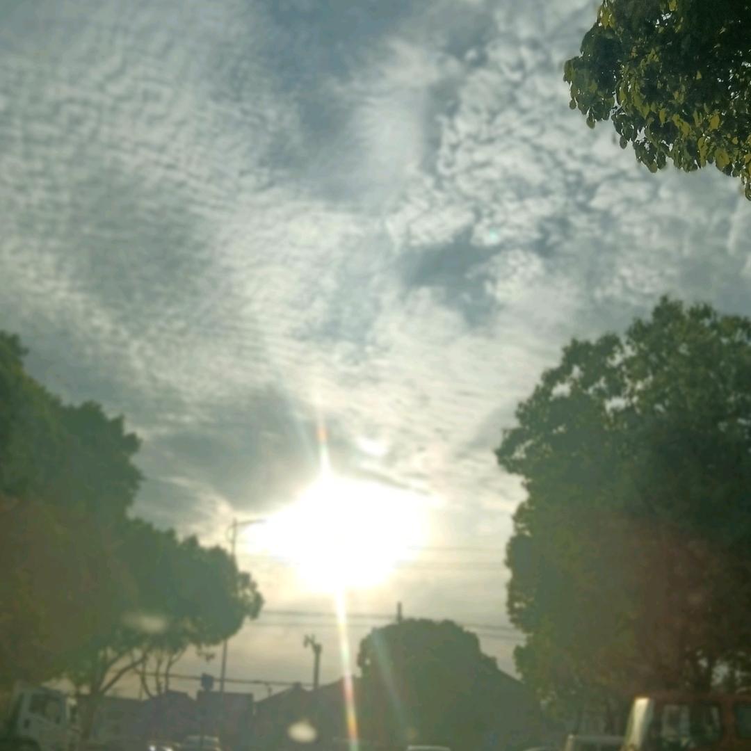 来年方知雨露偏
