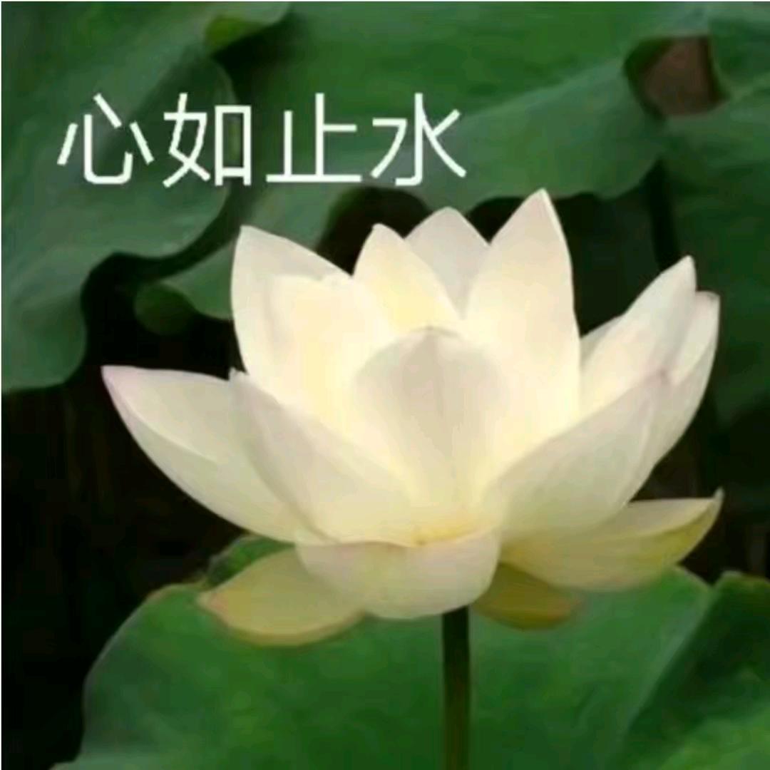 齐鲁-食事求是