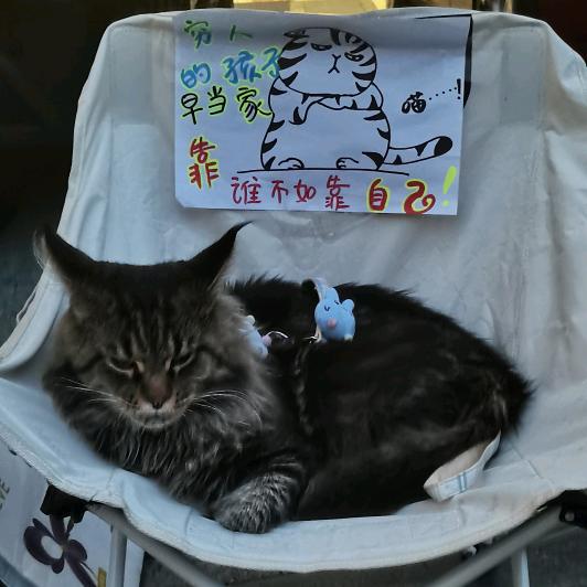 自信的酒窝