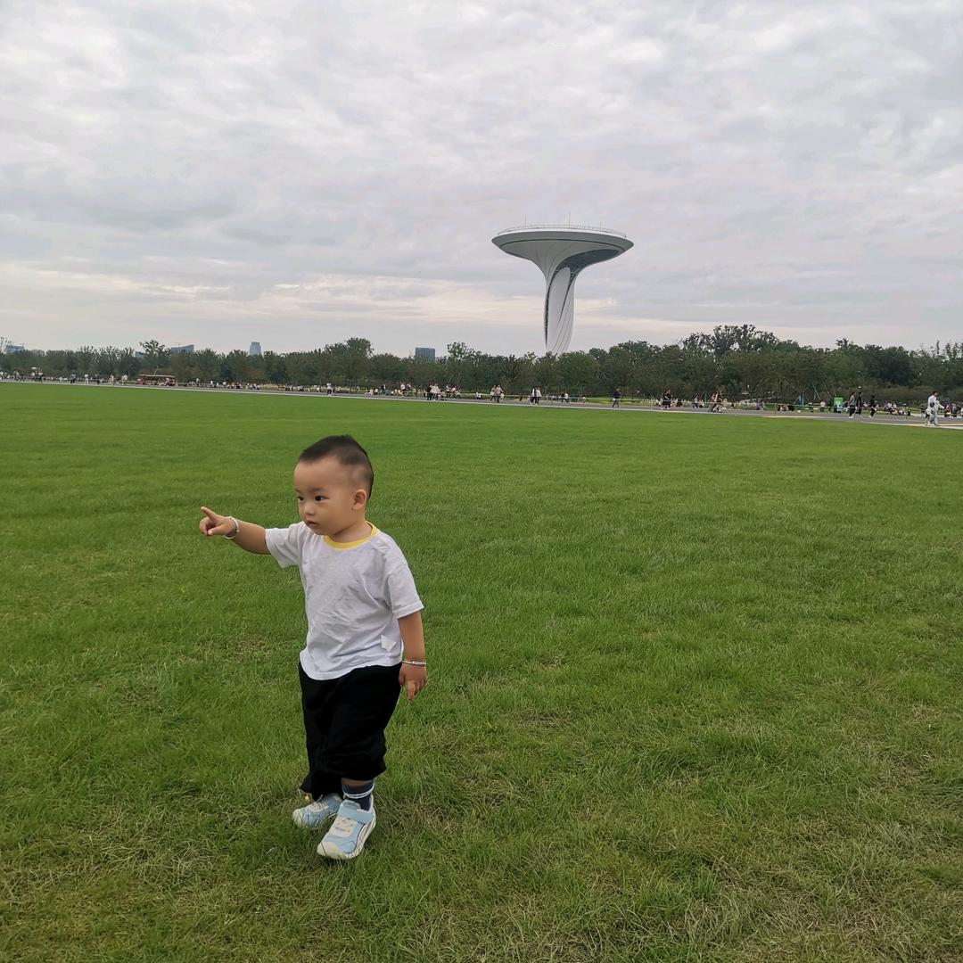 诚宝一枚