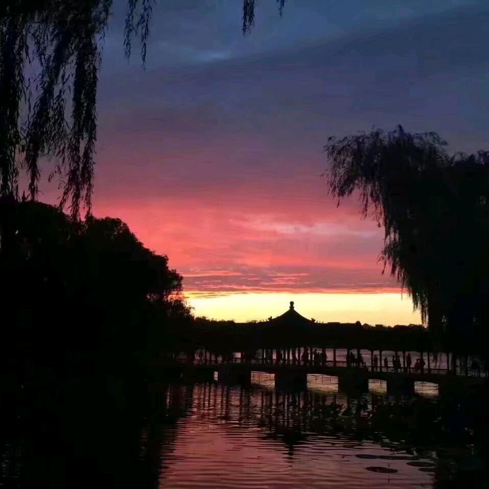 阿狸是只小比熊啊😼