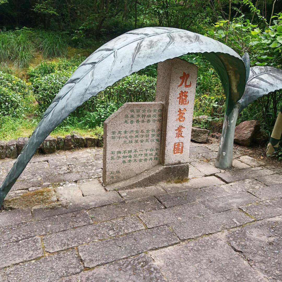 巴卍爷