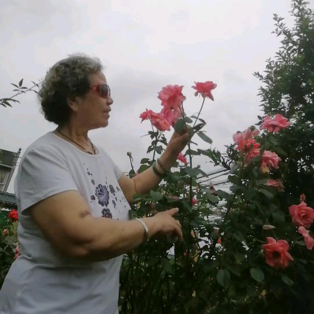 花姨