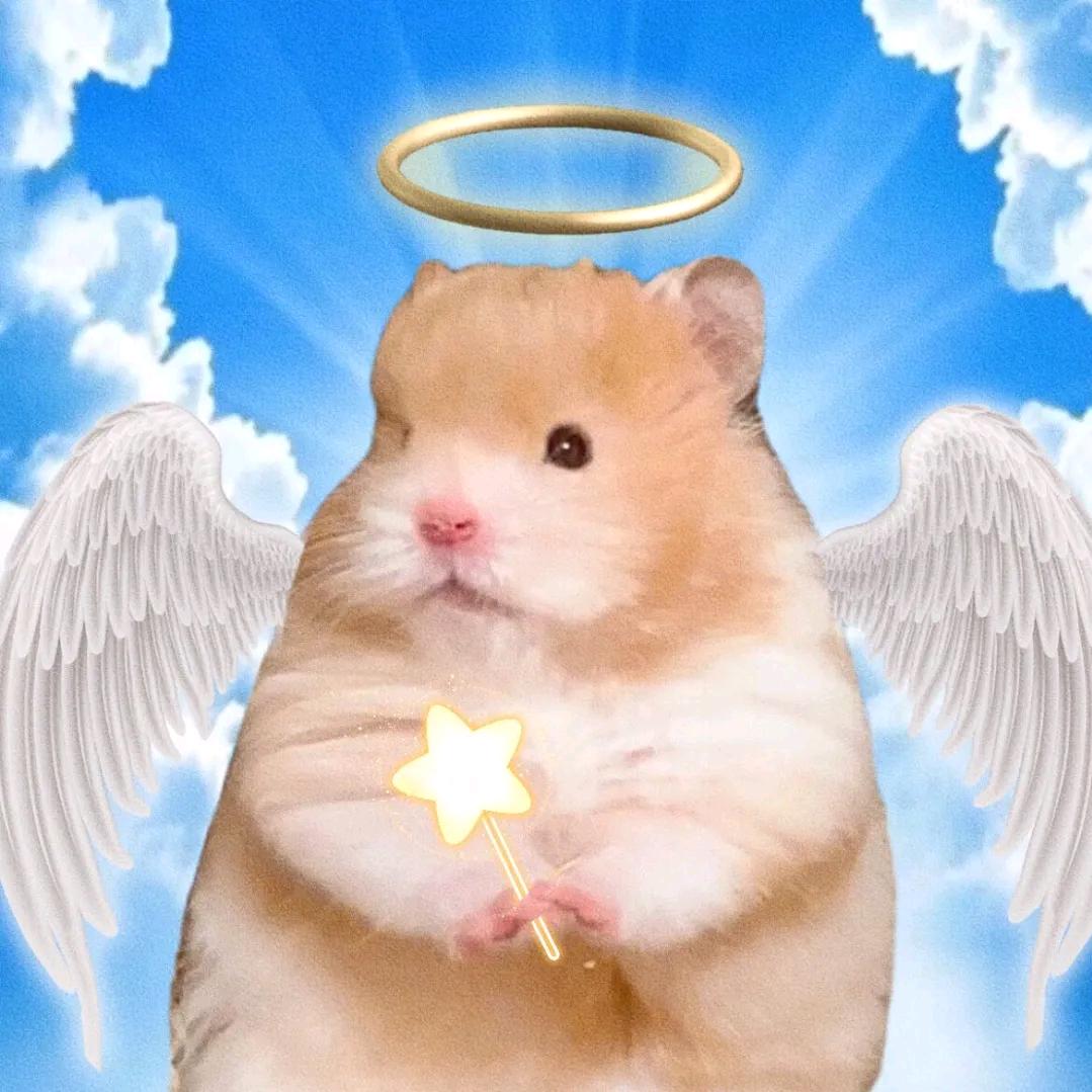 鼠酱