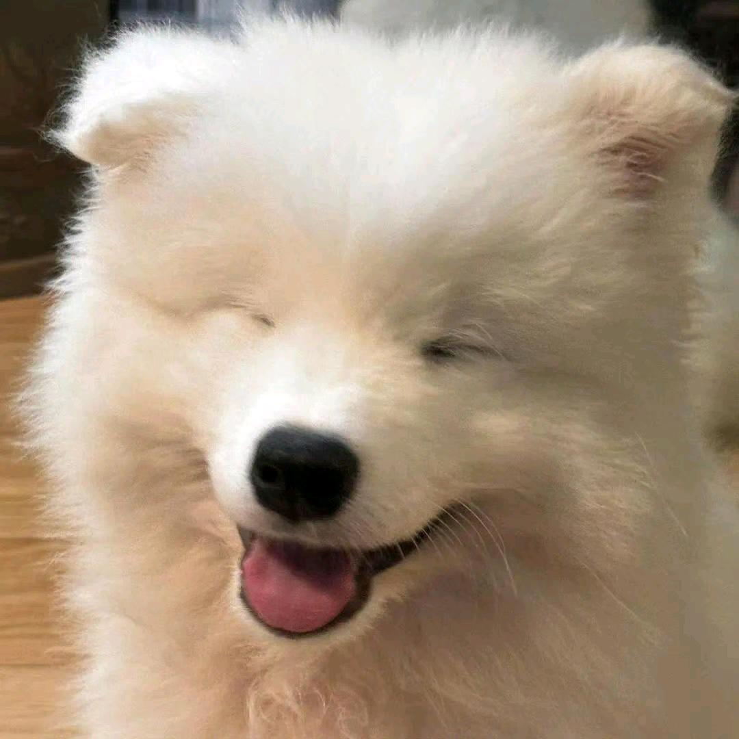 淮水之上