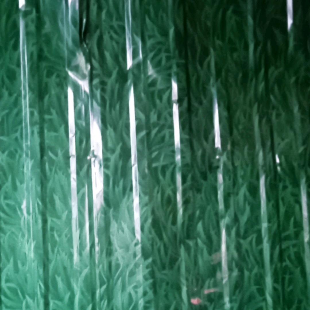 平菓
