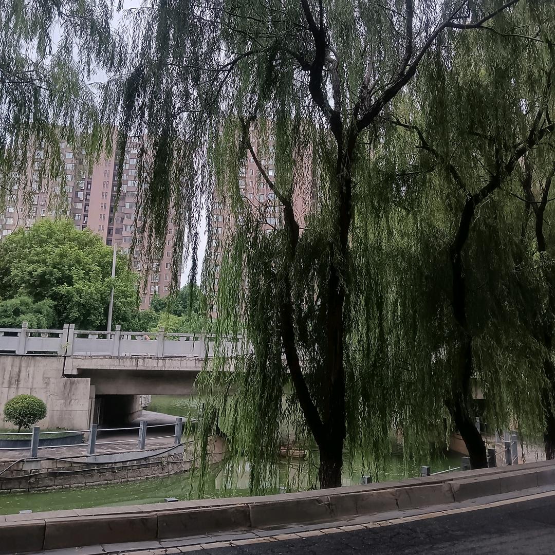 后来
