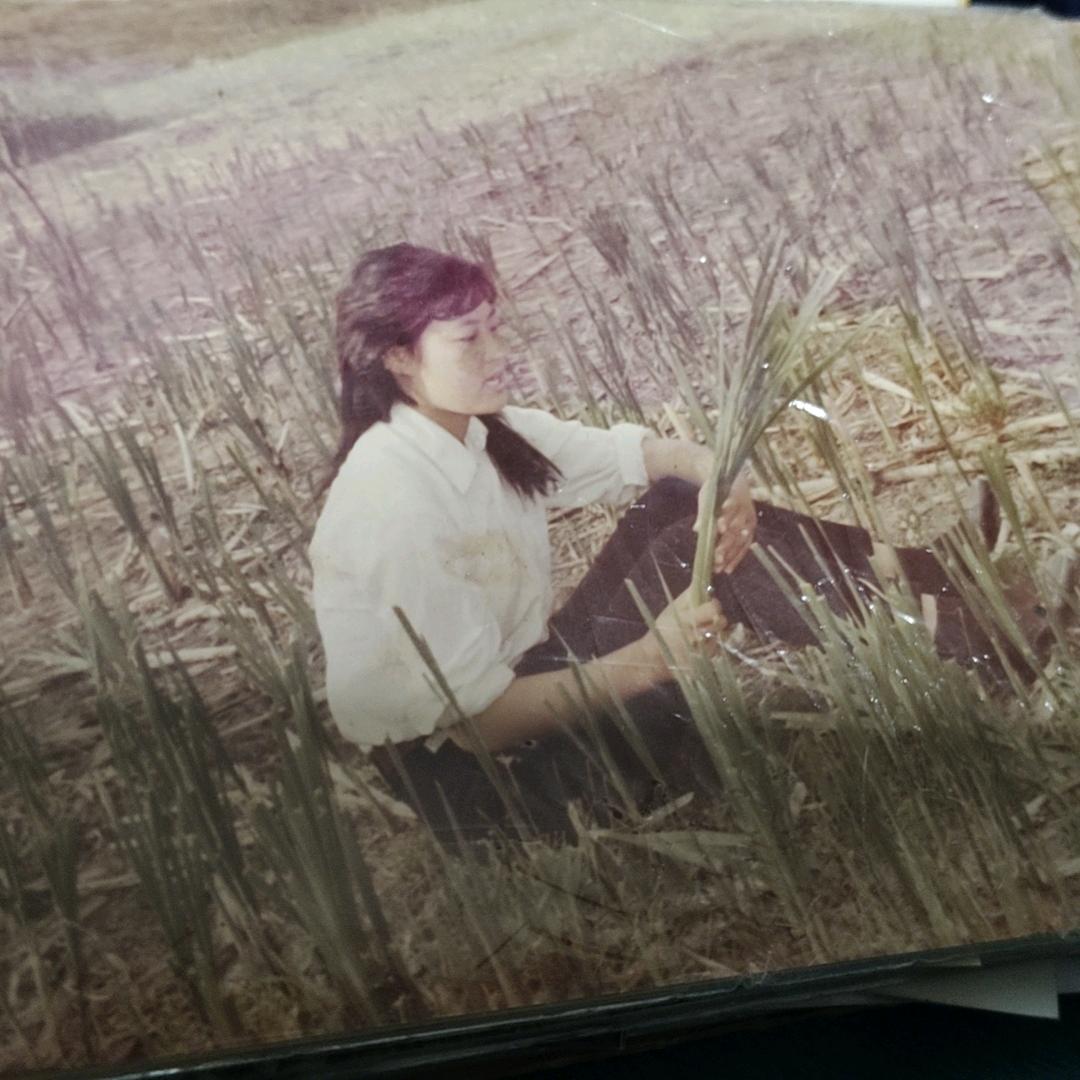 向往美好