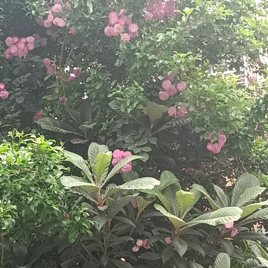 吴姐、
