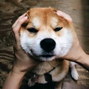 羽-