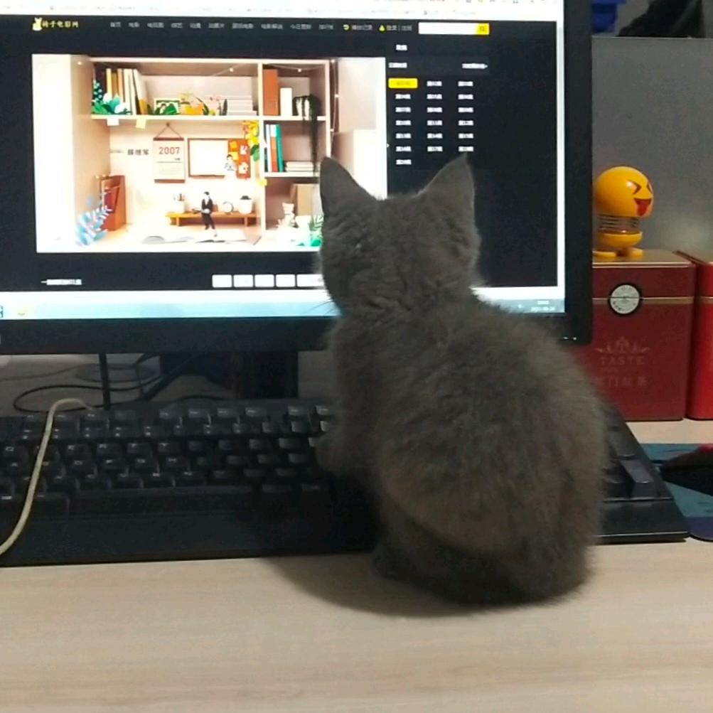 下一站❤️暴富