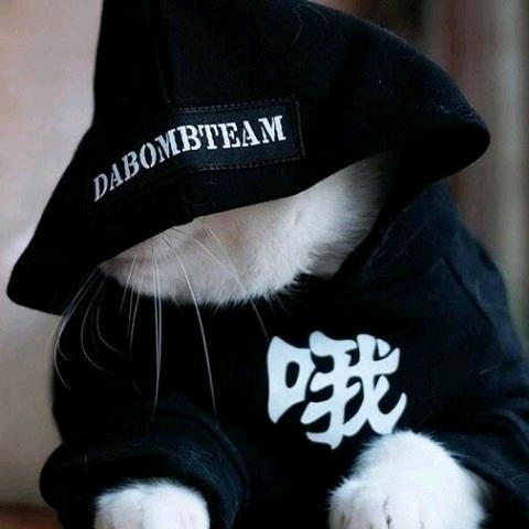 康和清灵
