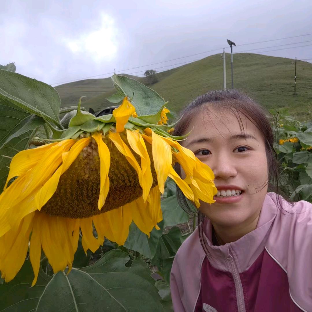 是菜菜呀