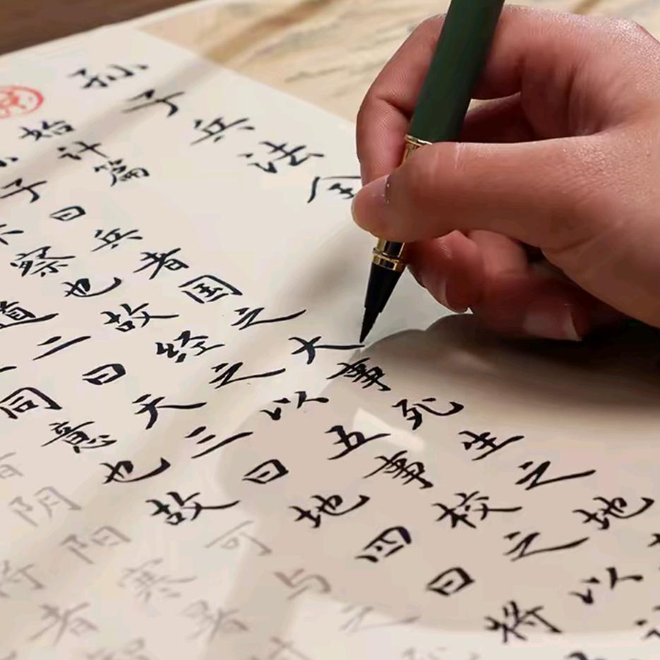 작은 초보자 엽불범