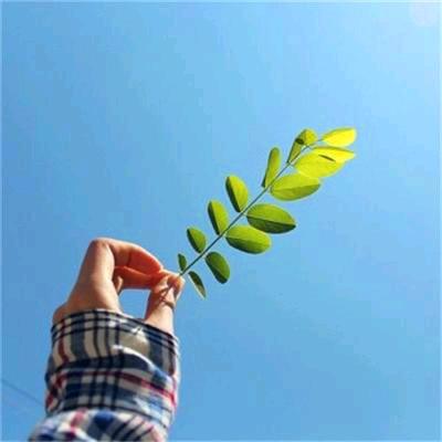 岁月静好💞🌴