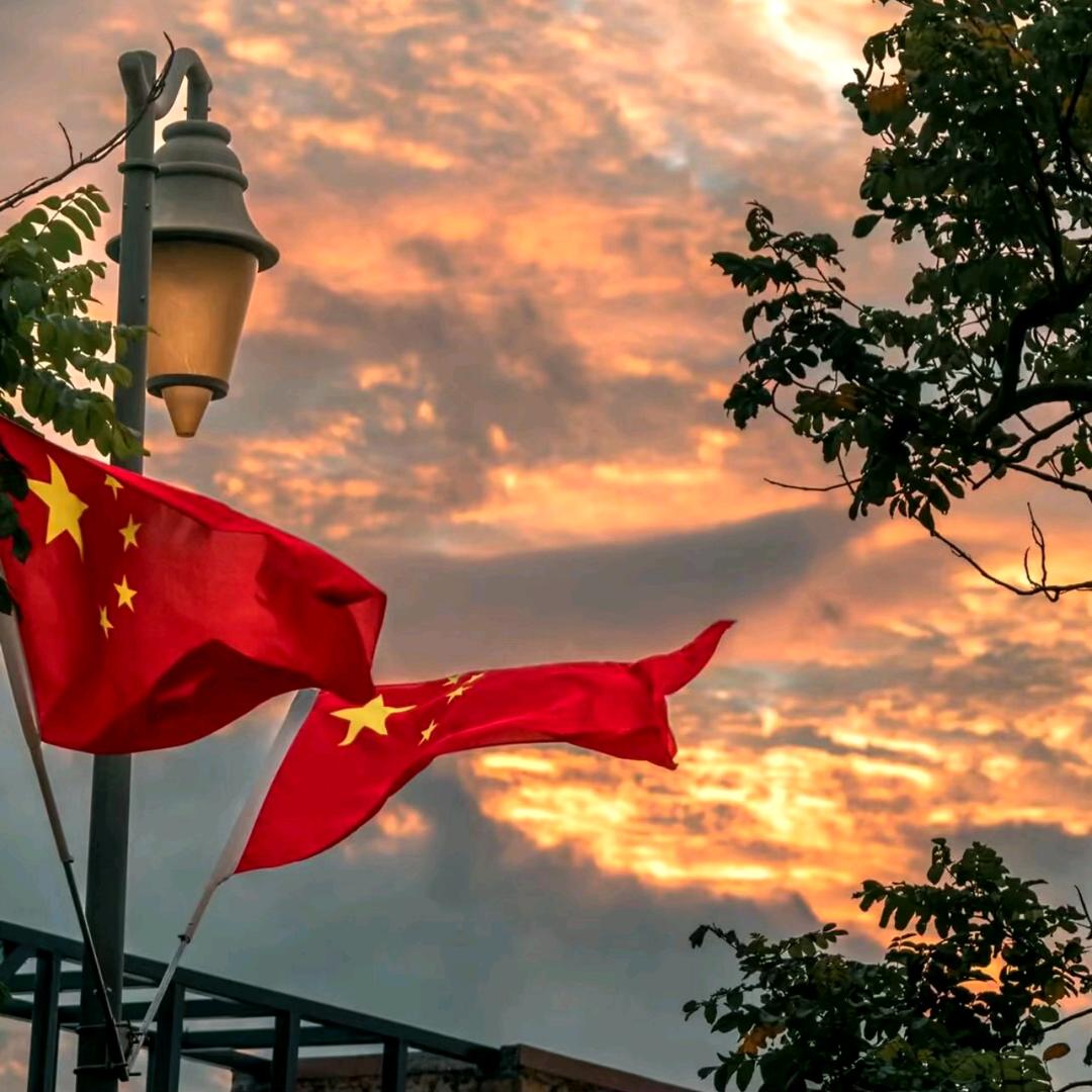 亚西爱养蝴蝶鲤