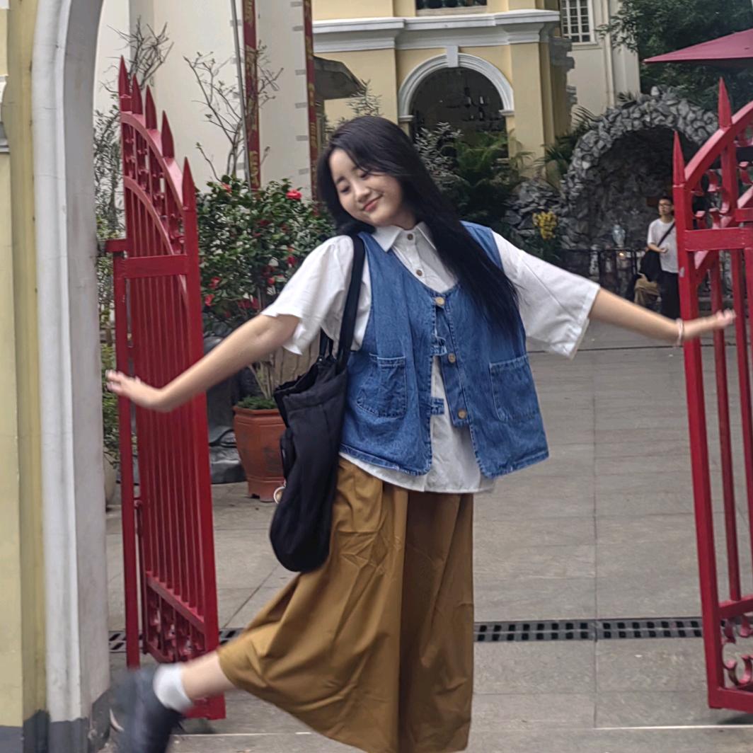 卷心菜菜