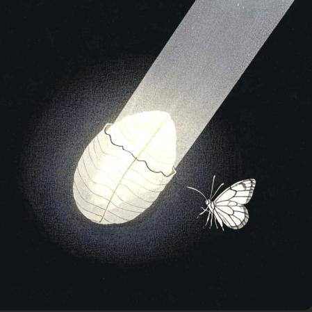 破茧的光