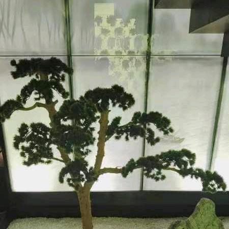 巧儿