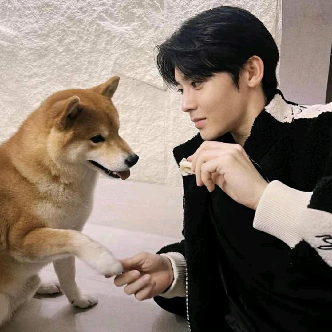 发福奥利奥୧⍤⃝