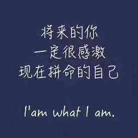 暖先森石墨稀地暖