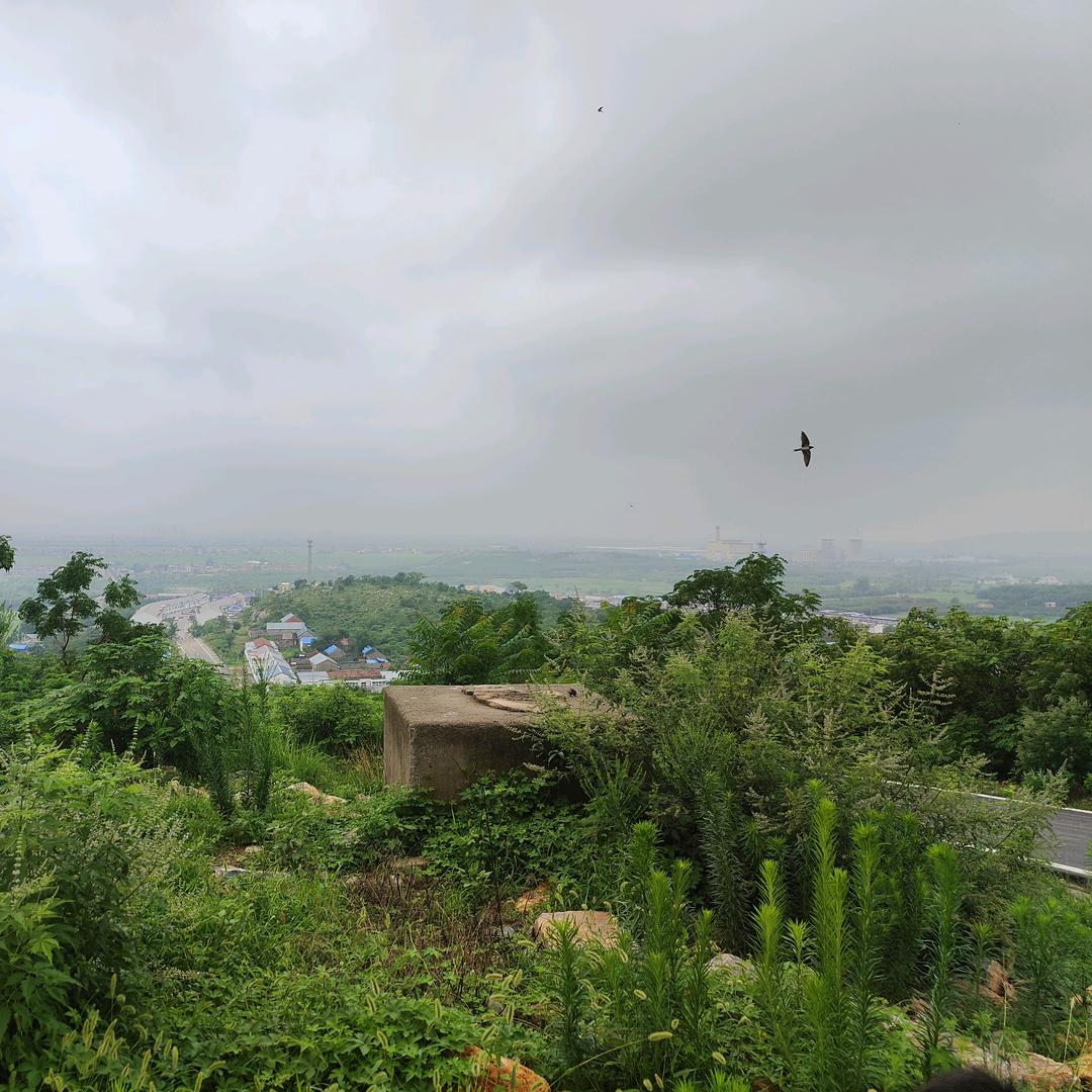 在怀化卖肠衣的小徐