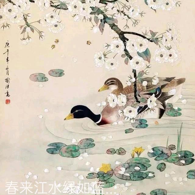 梦久久主打鲫鱼豆腐汤🩸