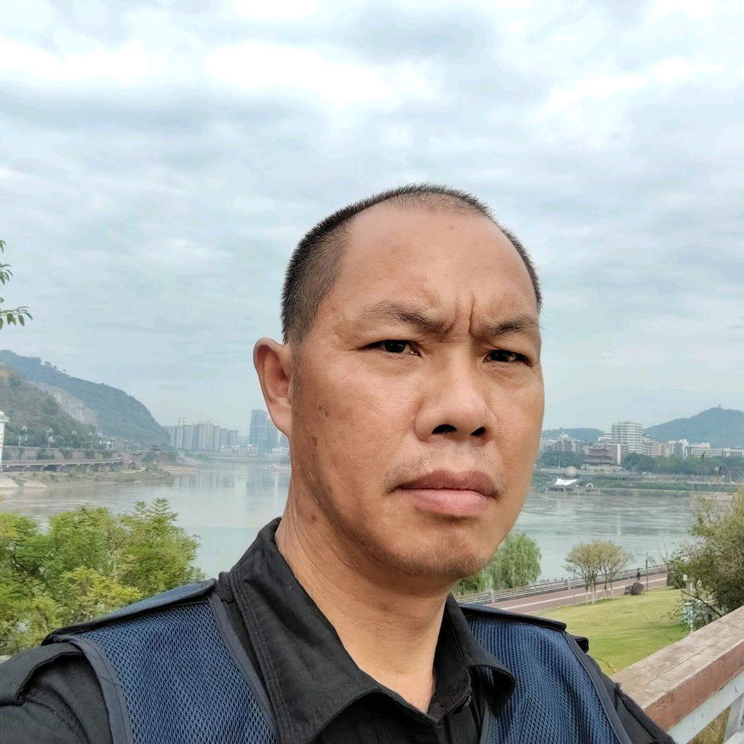 飞翔的鸵鸟
