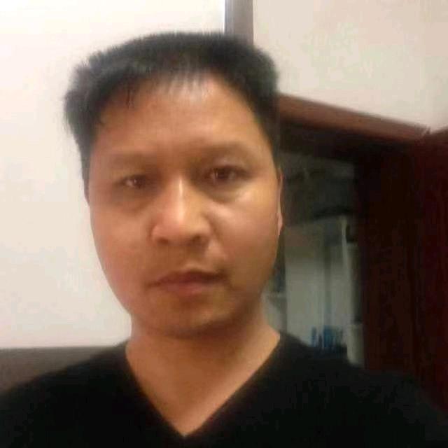 雁南飞